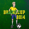 2014 브라질 컵